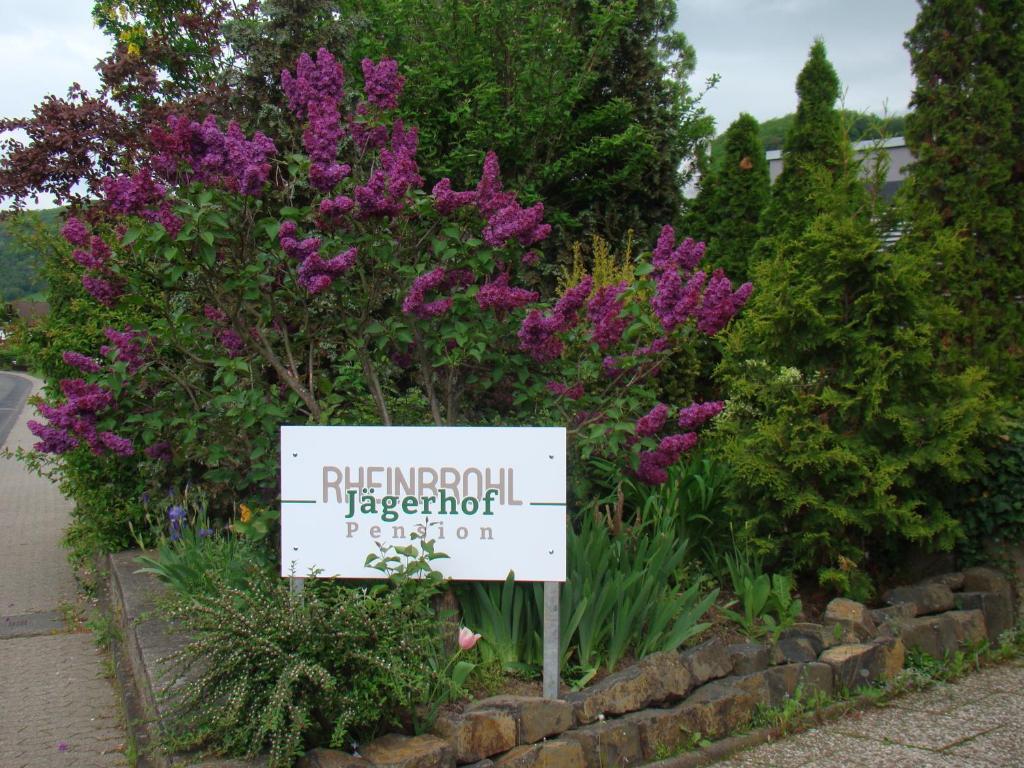 Pension Jaegerhof Rheinbrohl Esterno foto